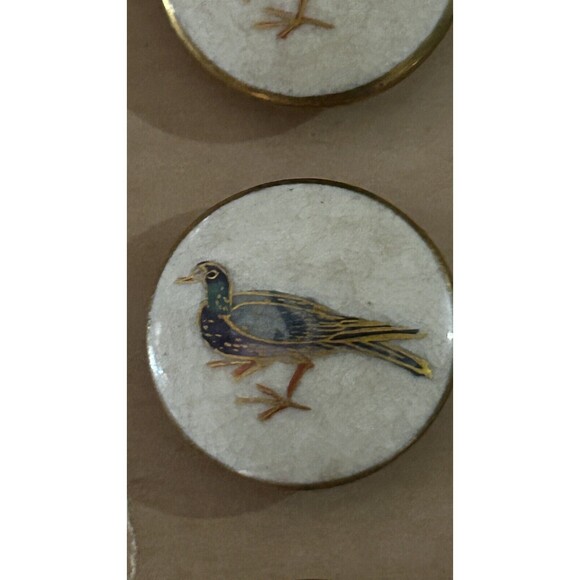 Vintage Set Of 12 Satsuma Buttons On The Original Card - Picture 4 of 6